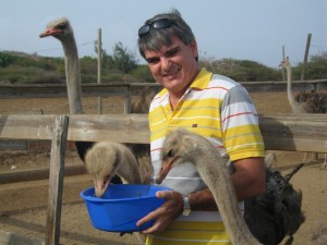 Ostrich Farm füttern Alex